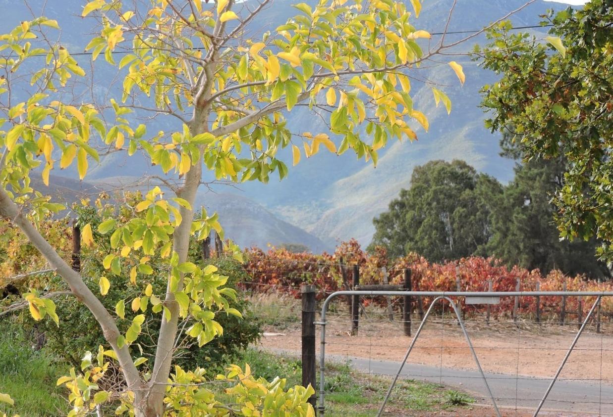 Klaasvoogds Cottages Robertson Buitenkant foto